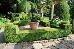 Scenic view of a beautiful formal garden with verdant topiary hedge