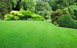 Beautiful Garden with a Freshly Mowed Lawn