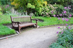 Peaceful Garden Scene with a Gravel Walkway and Wooden Bench