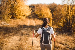 Back view of woman with backpack and trekking sticks. Nordic walking. and hiking. Autumn nature around and path forward. Travel concept.