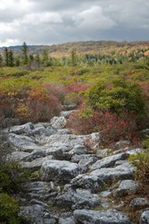 Autumn in Dolly Sods Wilderness