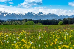Flat hike in the foothills of the Alps: view of the Alps from Wies, Wildsteig towards the Allgäu Alps, Austria in spring 