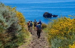 Sicily in spring: coastal hike on the island of Lipari - hiking group in the west with a view of the neighboring island of Salina