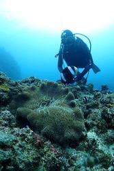 dive cave sea underwater scuba