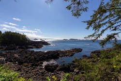 Trees and bushes overlooking Rocky Coast and Ocean. Ancient Cedars Loop Trail. Ucluelet, British Columbia, Canada. Adventure Travel.