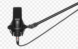 microphone isolated with clipping path. Condencer Mic for studio recording voice.