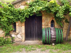 wine cellar on Morava, Czech