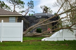 Fallen down big tree caused damage of yard fence after hurricane Ian in Florida. Consequences of natural disaster