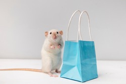 The symbol Of the new year 2020 is a white rat. Cute rat with paper bag