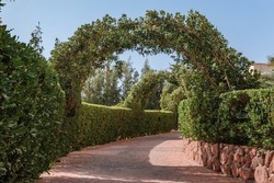 Outdoor Green secret garden with arched entry and gate. Tiled park path in a tunnel under an arch entwined with tropical vines and lush greenery