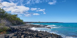 Panoramic view of the rocky coast with trees on the ocean shore in Hawaii on a sunny day.