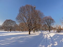 Groomed trail in the snow with bare and coniferous trees on a sunny winter day in Jean Drapeau park in Montreal, Quebec, Canada 