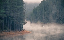 Man and dog on a boat in a mystic foggy lake near the forest. Fisherman and dog in big lake. A misty morning by the lake. Small fishing boat at the lake. Space for text
