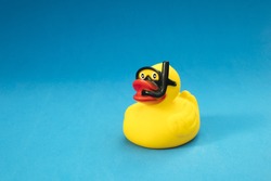 Toy duck wearing diving goggles and snorkel in blue background.