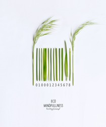 Organic barcode, made of green grass and sprout isolated on a white background. Think Green. Environmentally friendly planet. Think Green.Flat lay.Top view.