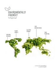 Environmentally friendly planet. The map of the world made from green leaves and branches with infographic sketches. Minimal nature concept. Think Green. Ecology Concept. Top view. Flat lay.