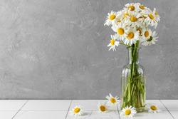 Still life with a beautiful bouquet of white chamomile flowers on gray background. holiday or wedding background