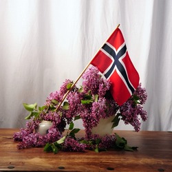 Square photo of the Norwegian flag in a vase with spring fresh lilacs.