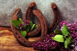 Rusty horseshoes and twigs of lilacs on wooden table against grey concrete wall.