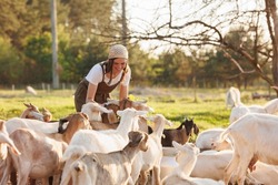 Female farmer taking care of cute goats. Young woman getting pet therapy at ranch. Animal husbandry for the industrial production of goat milk dairy products. Agriculture business and cattle farming.