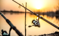 carp fishing rod isolated on lake. feeder fishing reel close up.