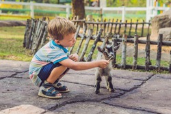 Small cute boy is feeding a small newborn goat