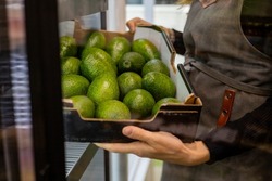 Closeup female kitchen staff hands in apron choosing fresh green avocado from cardboard box cooking at cafe kitchen. Woman arms holding ripe raw exotic fruits for healthy eating guacamole prepare