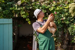 Portrait of happy caucasian farmer holding a brown hen outdoor. Smiling mature man with chicken in hand with copy space.