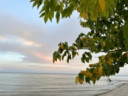 The photo shows a beach, lake and sky on an autumn day. Gentle colors prevail - blue, yellow, white and light pink.