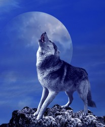 Howling wolf and moon