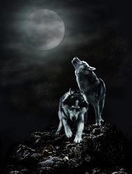 A pair of wolves on a dark night and the moon
