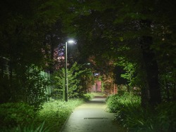 Green  backalley pathway full of grass and trees in Tokyo illuminated and nobody in the blurry background
