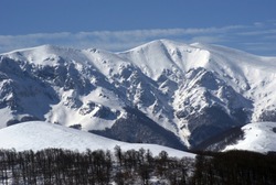 In winter Stara planina mountains, Bulgaria, snow and trees