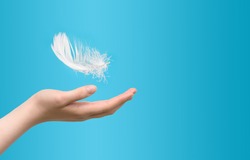 White feather falling to female hand on blue background. Concept of lightness easing and cleanliness.