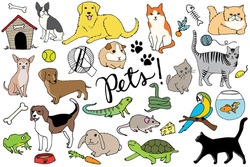 Pets Illustration Set - Hand Drawn Vector Set Including Cats, Dogs, Bird, Hamster, Pet Toys, Fish, Snake, Mouse, Turtle, Frog, Animals, and Paw Prints