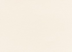 Simple plain pastel paper background abstract textured in light cream color.