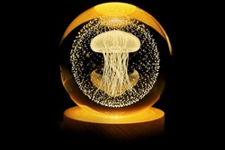 Cute and unique decorative lights. Used as decorative Christmas lights which are suitable as night lights or as children's toys. Decorative LED Night Lights are very multifunctional and have a variety
