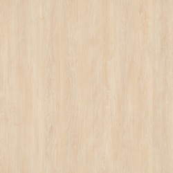 Seamless texture - wood - birch 11 - seamless - tile able