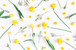 Flowers composition. Spring narcissus and tulip flowers on white background. Flat lay, top view