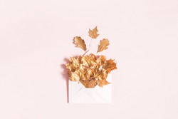 Autumn composition. Envelope with golden leaves on pastel pink background. Autumn, fall concept. Flat lay, top view