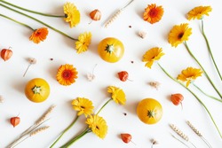 Autumn composition. Pumpkins, gerbera flowers on white background. Autumn, fall concept. Flat lay, top view