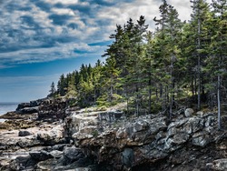 Cliffs on Great Head Trail, Mount Desert Island, Maine