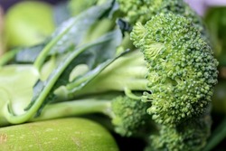 Natural background, broccoli close-up, macro shot.