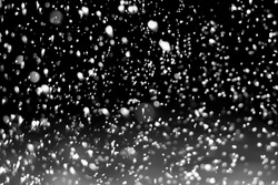 High resolution falling snow isolated on black background . Design element.