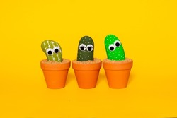 Studio shot of rocks painted to look like cactus and given plastic googly eyes to animate them arranged in a small group in terra cotta pots sitting on sand on a seamless white background.