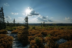 Sun behind Clouds at Dolly Sods