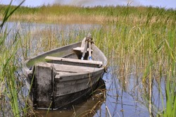 Old wooden boat in the reeds on Svityaz lake in Ukraine