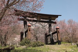 The torii of a shrine in Shobara City,Hiroshima Prefecture. The Japanese name 