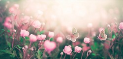 Wild pink flowers bathed in sunlight in field and two fluttering butterfly on nature outdoors, soft selective focus, close-up macro. Magic artistic image.
