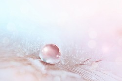 Light airy natural background in pink tones with drop of water on feather, macro. Elegant, gentle artistic image beauty of nature.